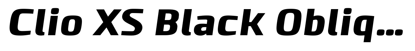 Clio XS Black Oblique